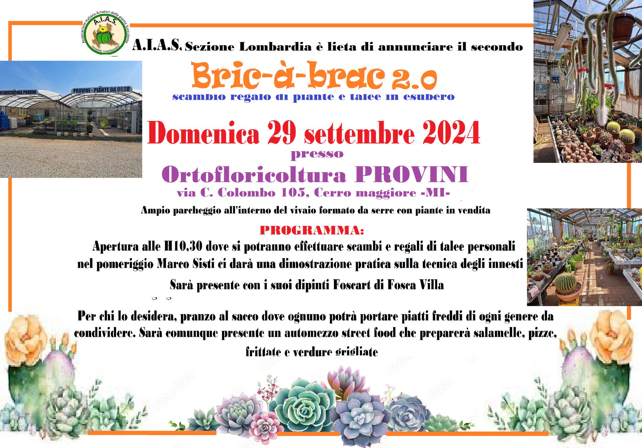 Bric Brac 2024